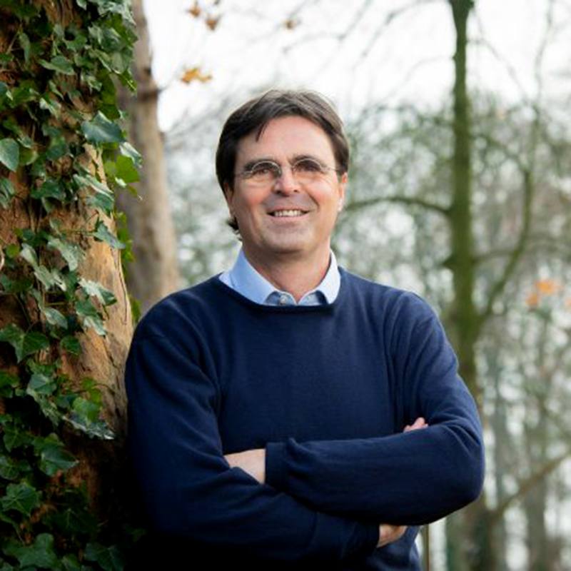 Maarten Willemen Maarten Willemen